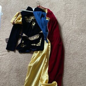 Disney Cruise royal knight costume